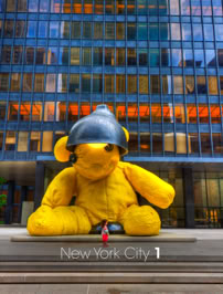 Mike Reiss Photography | ebooks