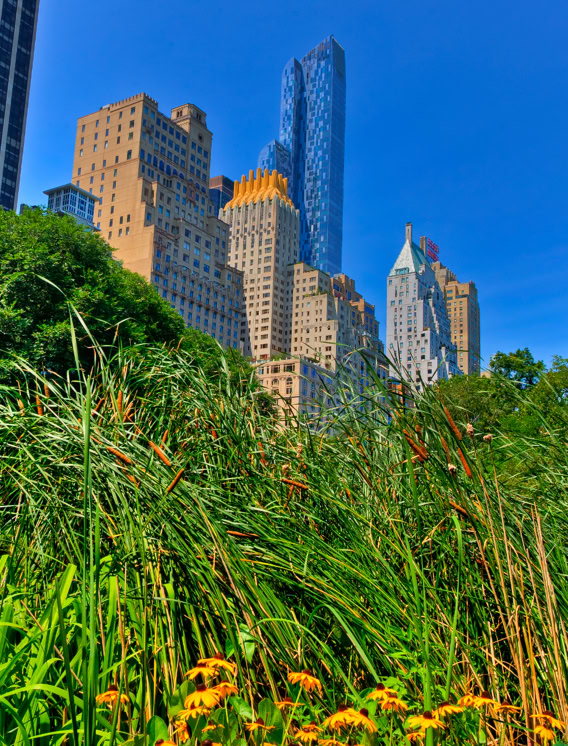 Mike Reiss Photography | ebooks - New York City 3